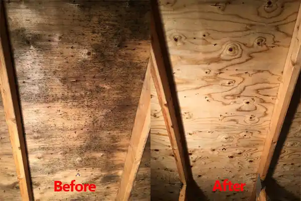 water damage restoration service Paradise Hills